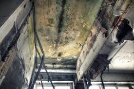 Best Real Estate Mold Inspection in East Whittier, CA